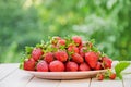 Fresh strawberries in a plate on the garden table Royalty Free Stock Photo