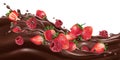 Fresh strawberries and raspberries on a chocolate wave.