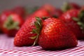 Fresh Strawberries on Red Gingham Tablecloth Close Up Royalty Free Stock Photo