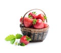 Fresh strawberries in small basket isolated on white Royalty Free Stock Photo