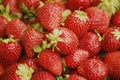 Fresh strawberries - strawberry