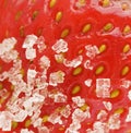 Fresh strawberries with sugar Royalty Free Stock Photo