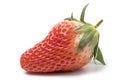 Fresh strawberries are on the white background