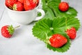 Fresh strawberries in a white porcelain bowl on wooden table in Royalty Free Stock Photo