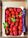 Fresh strawberries in wooden box. Royalty Free Stock Photo