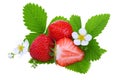 Fresh strawberry Royalty Free Stock Photo