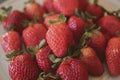 Fresh strawberry background. Close up view of red ripe strawberries. Royalty Free Stock Photo