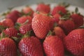 Fresh strawberry background. Close up view of red ripe strawberries. Royalty Free Stock Photo