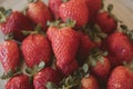 Fresh strawberry background. Close up view of red ripe strawberries. Royalty Free Stock Photo