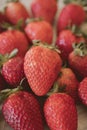 Fresh strawberry background. Close up view of red ripe strawberries. Royalty Free Stock Photo