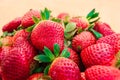 Fresh Strawberry Background photo natural berries