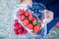 fresh strawberry blueberry raspberry in pack in man hand Royalty Free Stock Photo