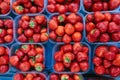 Fresh strawberry in boxes at the market in Amsterdam Royalty Free Stock Photo