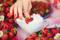 A fresh strawberry with cream in a bowl on a table in a summer garden is decorated with chamomile flowers the hand takes with a lo Royalty Free Stock Photo