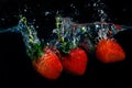 fresh strawberry dropped into water with splash on black backgrounds Royalty Free Stock Photo