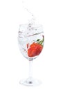 Fresh strawberry dropped into water in wine glass with splash Royalty Free Stock Photo