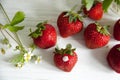 Fresh strawberry Royalty Free Stock Photo