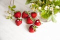 Fresh strawberry Royalty Free Stock Photo