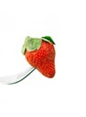 Fresh strawberry on a fork over white Royalty Free Stock Photo