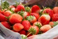 Fresh strawberry fruits prepare in box for sending to customer Royalty Free Stock Photo