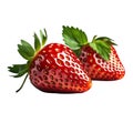 Fresh strawberry fruits. Two whole ripe berries isolated. Healthy diet. Vegetarian food Royalty Free Stock Photo