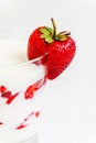 Fresh strawberry on a glass with dessert yogurt and strawberry l Royalty Free Stock Photo