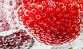 Fresh strawberry in glass with sparkling water Royalty Free Stock Photo