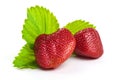 Fresh strawberry with green leafs, isolated on white background Royalty Free Stock Photo