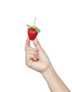 Fresh strawberry in hand Royalty Free Stock Photo