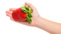 Fresh strawberry in hands. Woman hand holding a huge strawberries. Organic strawberry with green leaf. Royalty Free Stock Photo