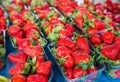 Fresh Strawberry Market Royalty Free Stock Photo