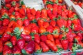 Fresh Strawberry Market Royalty Free Stock Photo