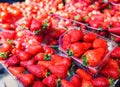 Fresh Strawberry Market Royalty Free Stock Photo