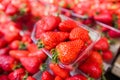 Fresh Strawberry Market Royalty Free Stock Photo