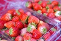 Fresh strawberry in plastic box of packaging for sell Royalty Free Stock Photo