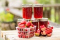 Fresh strawberry rhubarb jelly