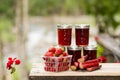 Fresh strawberry rhubarb jelly