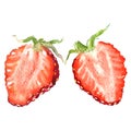 Fresh strawberry slice, half berry, isolated, watercolor illustration on white Royalty Free Stock Photo