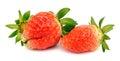Fresh strawberry slice isolated on white background. Dessert, refreshment. Royalty Free Stock Photo