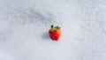 Fresh strawberry on snow