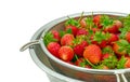 Fresh strawberry in steel colander Royalty Free Stock Photo