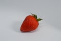 Fresh Strawberry Studio Photography. Fruit. Screensavers Backgrounds