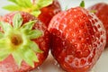 Fresh strawberry super quality abstract business picture