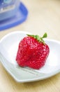 Fresh Strawberry Royalty Free Stock Photo