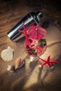 Fresh strawberry tropical cocktail with shaker Royalty Free Stock Photo