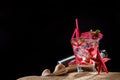 Fresh strawberry tropical cocktail with shaker Royalty Free Stock Photo