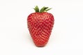 Fresh strawberry on a white surface