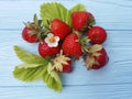 Fresh organic strawberry healthy fruit antioxidant farming summer harvest on a blue wooden background