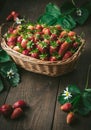 Fresh strawberry in wicker basket on a wooden background close-up. Royalty Free Stock Photo
