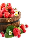 Fresh strawberry in wooden bucket with green leaf and flower Royalty Free Stock Photo
